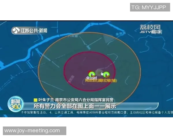 南京飞盘队灵活性分析与战术创新的深度探讨与启示
