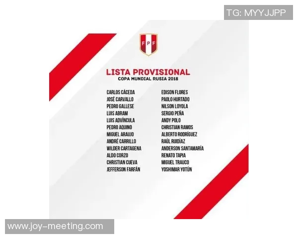 南京足球队在世界杯中的战术分析与表现评估